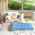 Little dinosaur