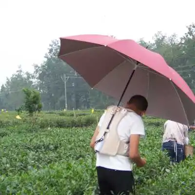 Handless backpack, photography umbrella