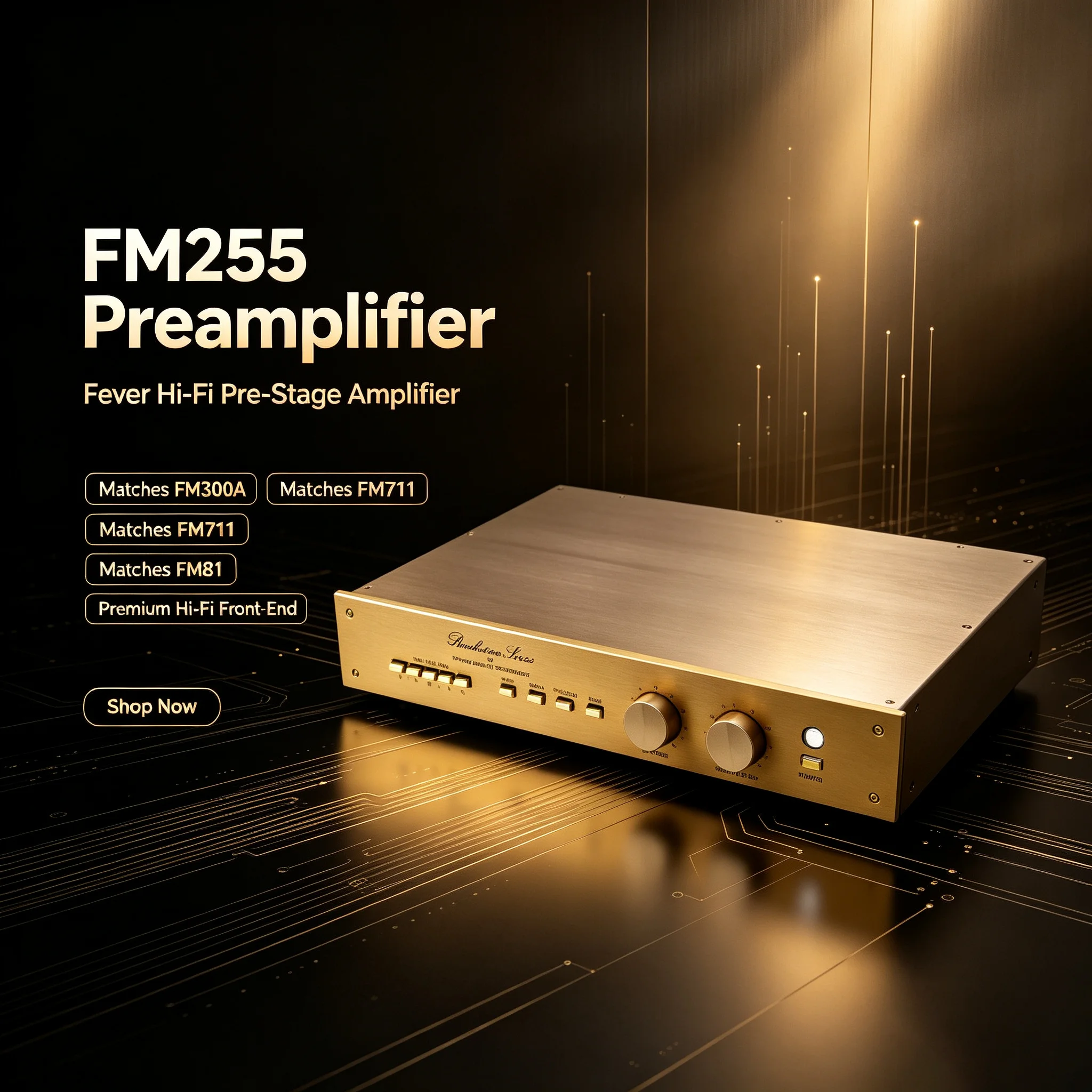 CHN 2027 Senyuan FM255 front amplifier with FM300A and FM711 FM81 fever hifi amplifier