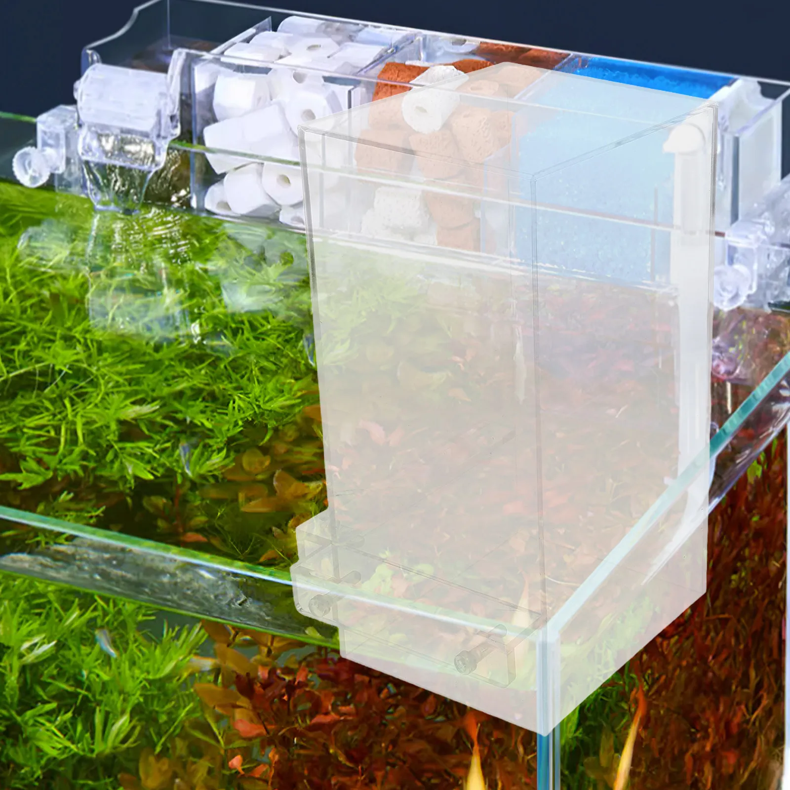 Ascenseur pour poissons Betta, boîte d'isolement suspendue à pression négative pour l'élevage de poissons, décoration d'aquarium, fournitures pour animaux de compagnie