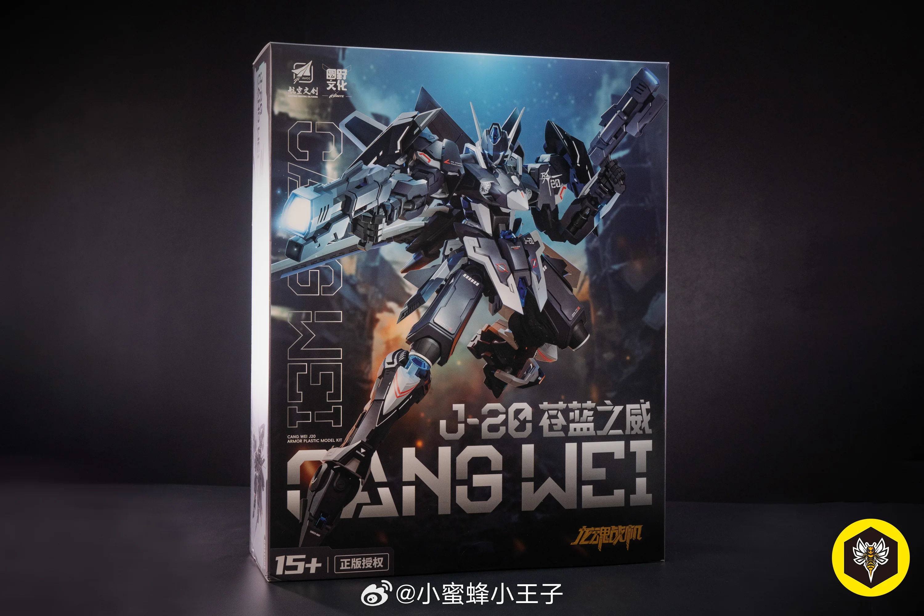 XIWANSHE CANG WEI J-20 Aviation Fighter Model Kit CANGWEI J20