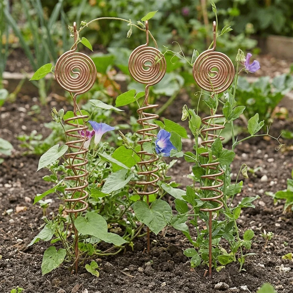 3 Piezas de Estacas de Cobre p - Bonsai Garden Stand reseña y precio