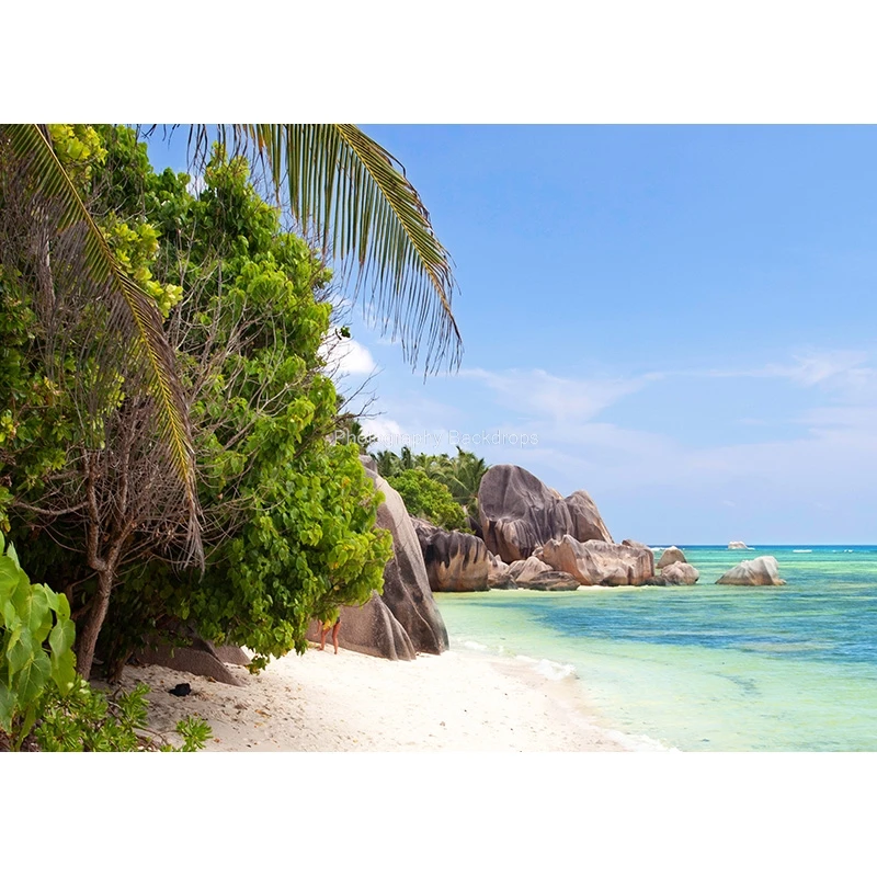 ZHISUXI 여름 열대 바다 해변 바다 배경 해변 파티 파도 장면 비닐 사진 배경 사진 스튜디오 MP-2