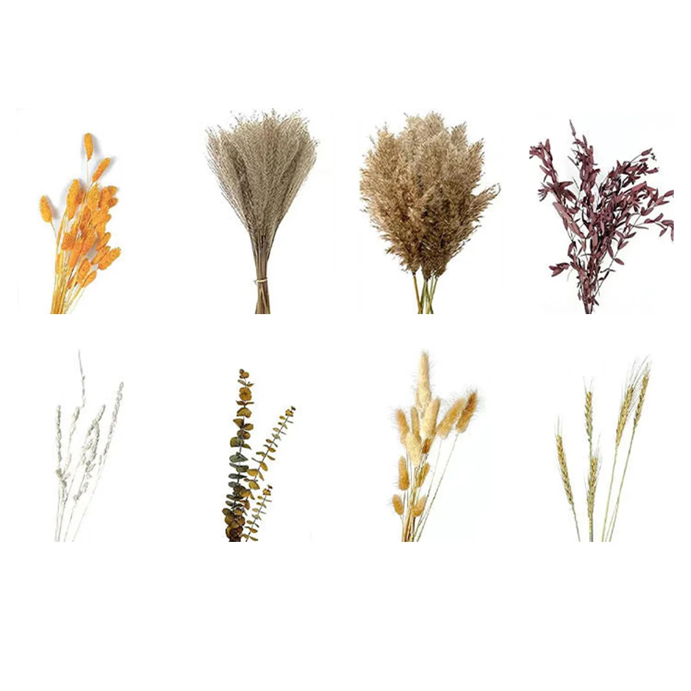 100 قطعة/المجموعة/مجموعة باقة عشب بامباس مجففة طبيعية من الزهور المجففة لغرفة المعيشة الأنيقة وديكور الحفلات ومستلزمات الأعياد والحفلات #2
