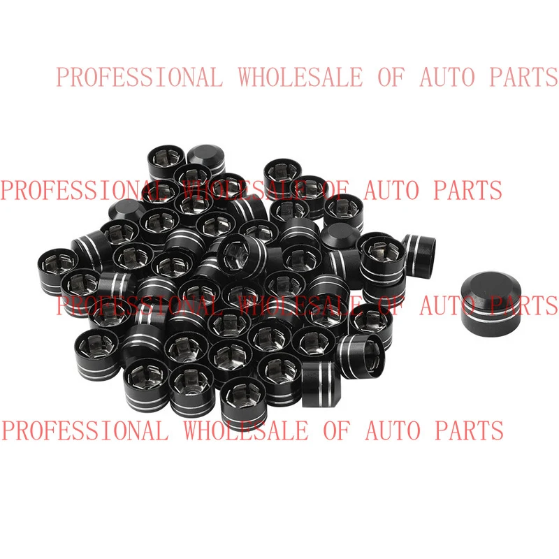 V+ 60x Engine Bolt Caps for Harley Twin Cam Electra Road Glide King Dyna