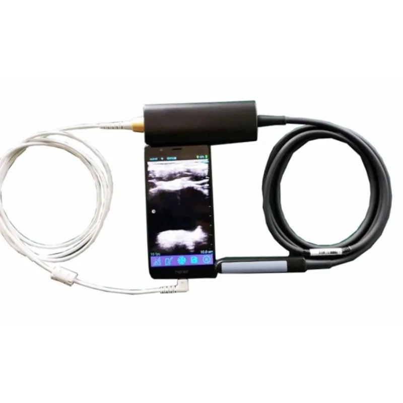 Portable Handheld Veterinary Ultrasound Instrument Bovine Equine Linear Rectal Probe Type Ultrasound Animal Care and Supplies
