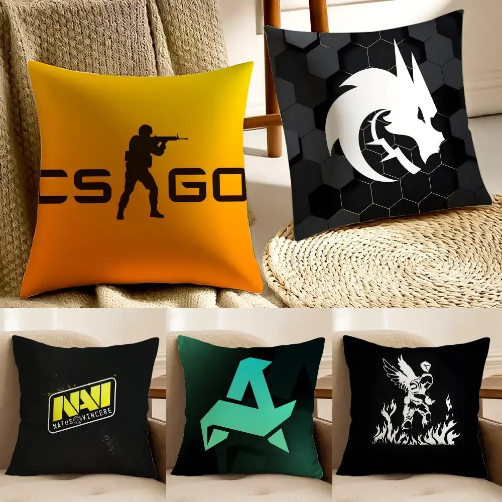 Internet meme Spirit Falcon Meme Cushion Cover Faux fur decorative Dark academia style Cat scratching post Rustic Spa pillow