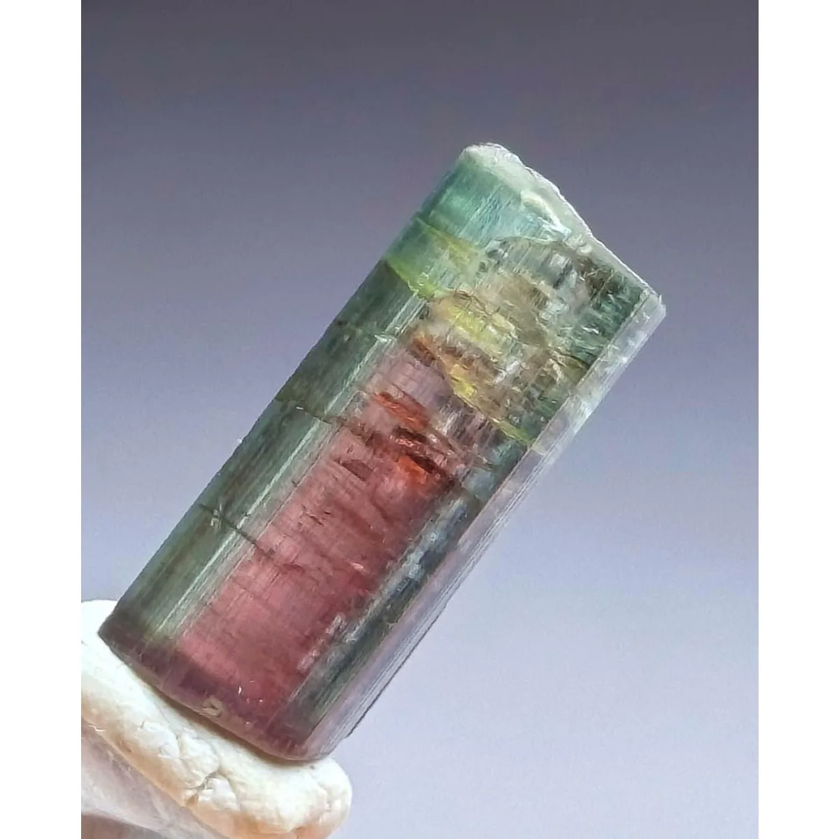Brazilian Elbaite Gemstone Stones, 10g 5-15mm Color Mix, Display Box for Home Office Display & Rock Specimens