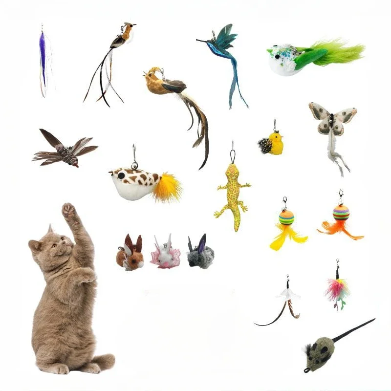 

Bird Model Feather Cat Teaser Replacement Head Accessories Natural Feather Bite-Resistant Cat Toys Bells Feathers Pet Companion