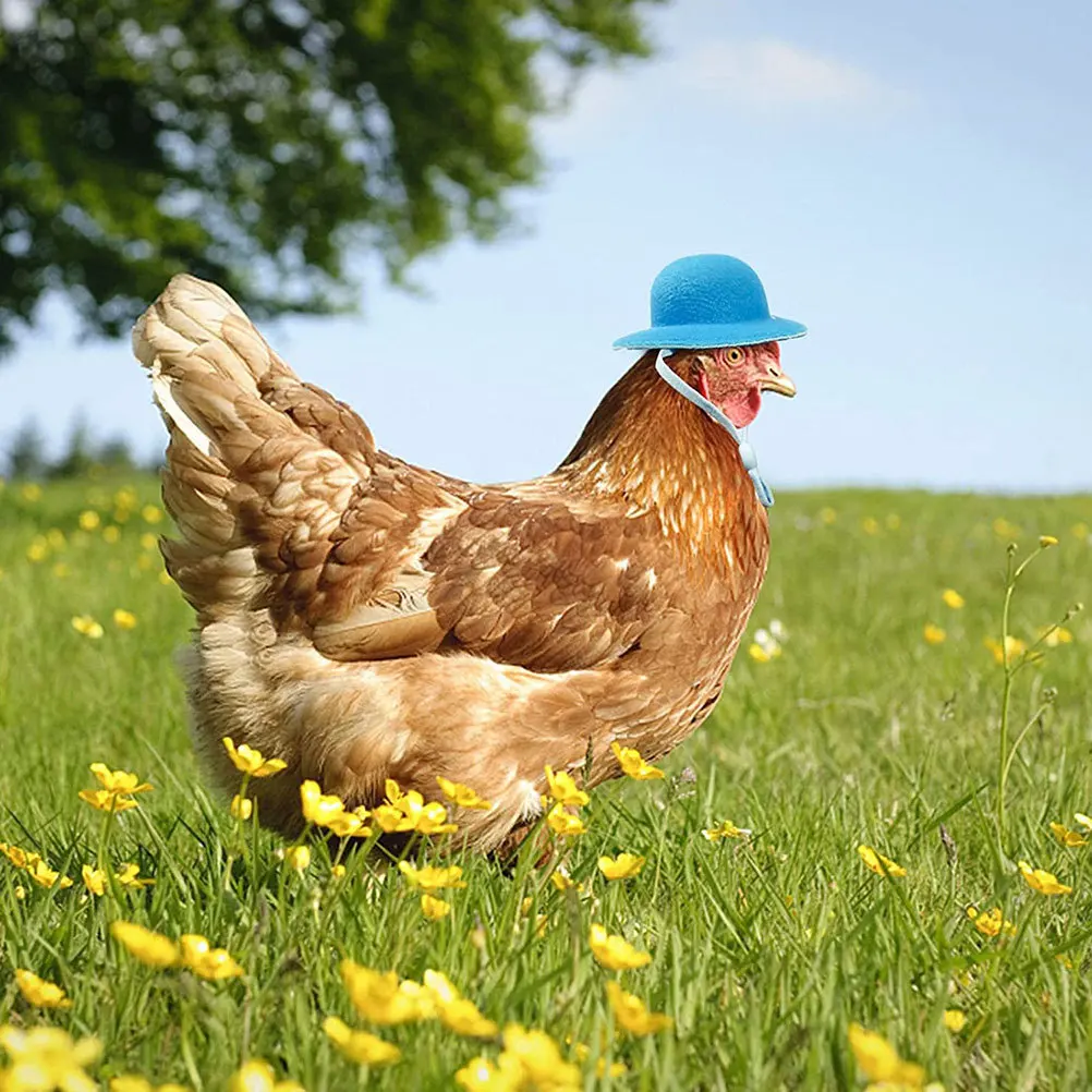 

8Pcs Chicken Hat Charming Adjustable Pet Accessory Wearable Bird Hat for Birthday Party Chicken Accessory Per Cap Decor