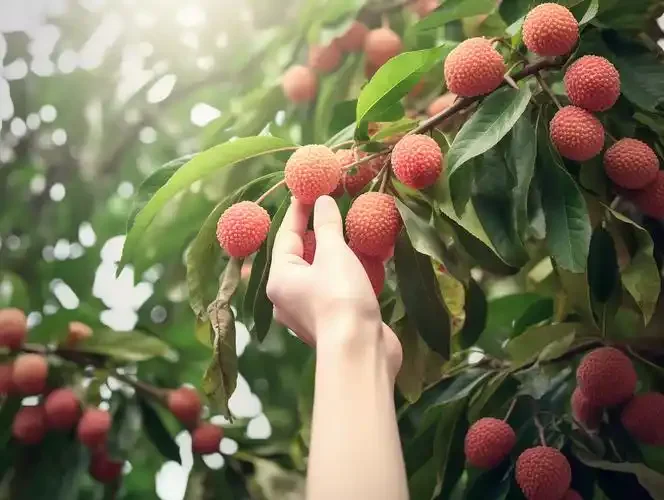 

4pcs 1/10 65mm Tire Metal Wheel Rim 12mm Hex for Tamiya TT01 TT02 TT02B TA06 XV01 XV02 PTG-2 1/10 RC Racing Car Upgrade Parts