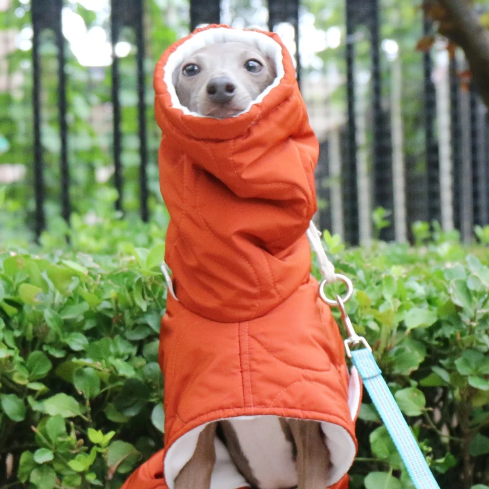 Winterroter Umhang für Hunde, eleganter verstellbarer Bund, dicker Baumwollmantel für Italien, Windhund, winddichte warme Jacke für Whippet – Detail 6