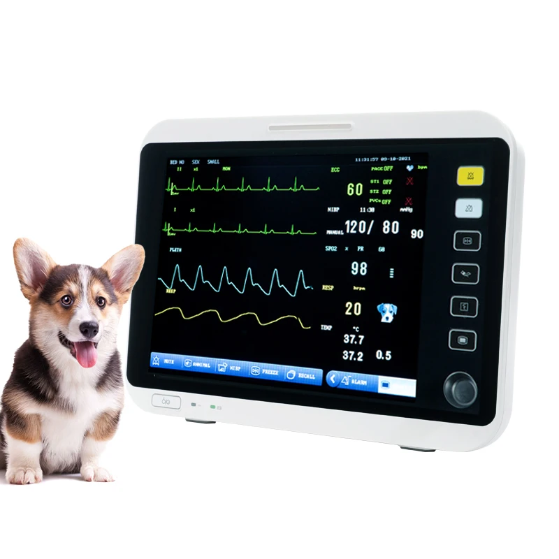 

12.1 Inch Multifunctional Veterinary Monitor Suitable For Pet Hospitals And Clinics