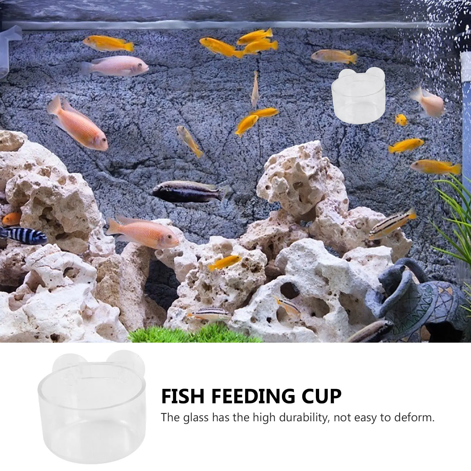 

2pcs Acrylic Fish Feeder For Aquarium Freshwater Saltwater Tropical Fish Feeding Cup Durable Suction Food Container Holder