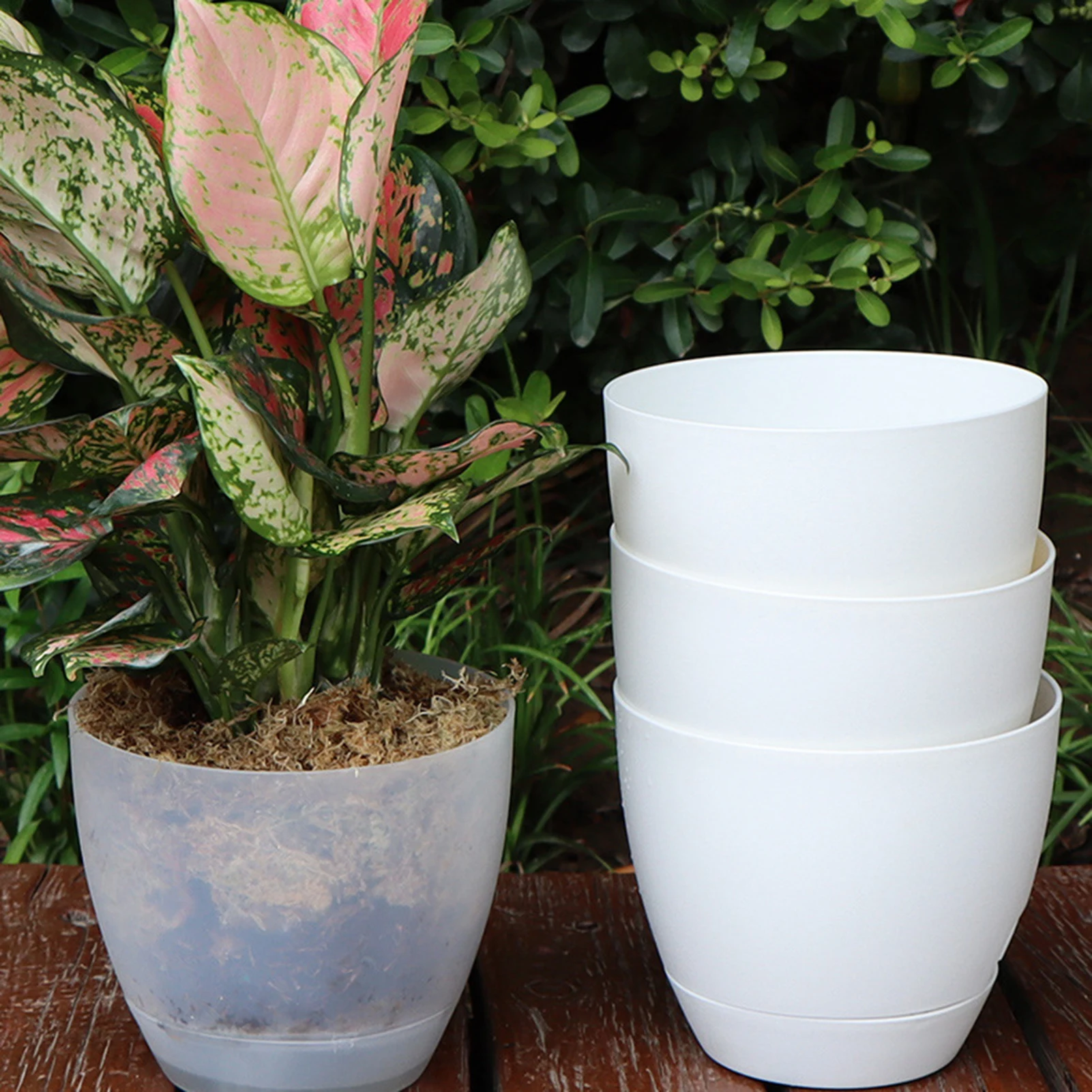 Self-absorbing Water Flower Planter Plastic Living Room Bedroom Study Self-Watering Pot with Tray Home Indoor Garden Decor