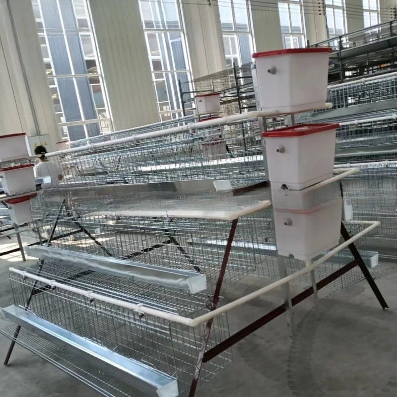 Battery Chicken A Type Broiler Coop Poultry Hen Cages Steel New Automatic Layer Cage for House Home Use