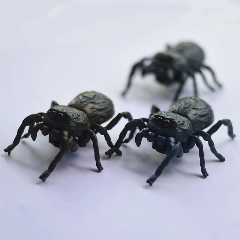 New Simulation Wild Insect Animals Model Toy Beetle Spider Prop Model Children's Cognitive Toy Outdoor Insect Garden Ornaments