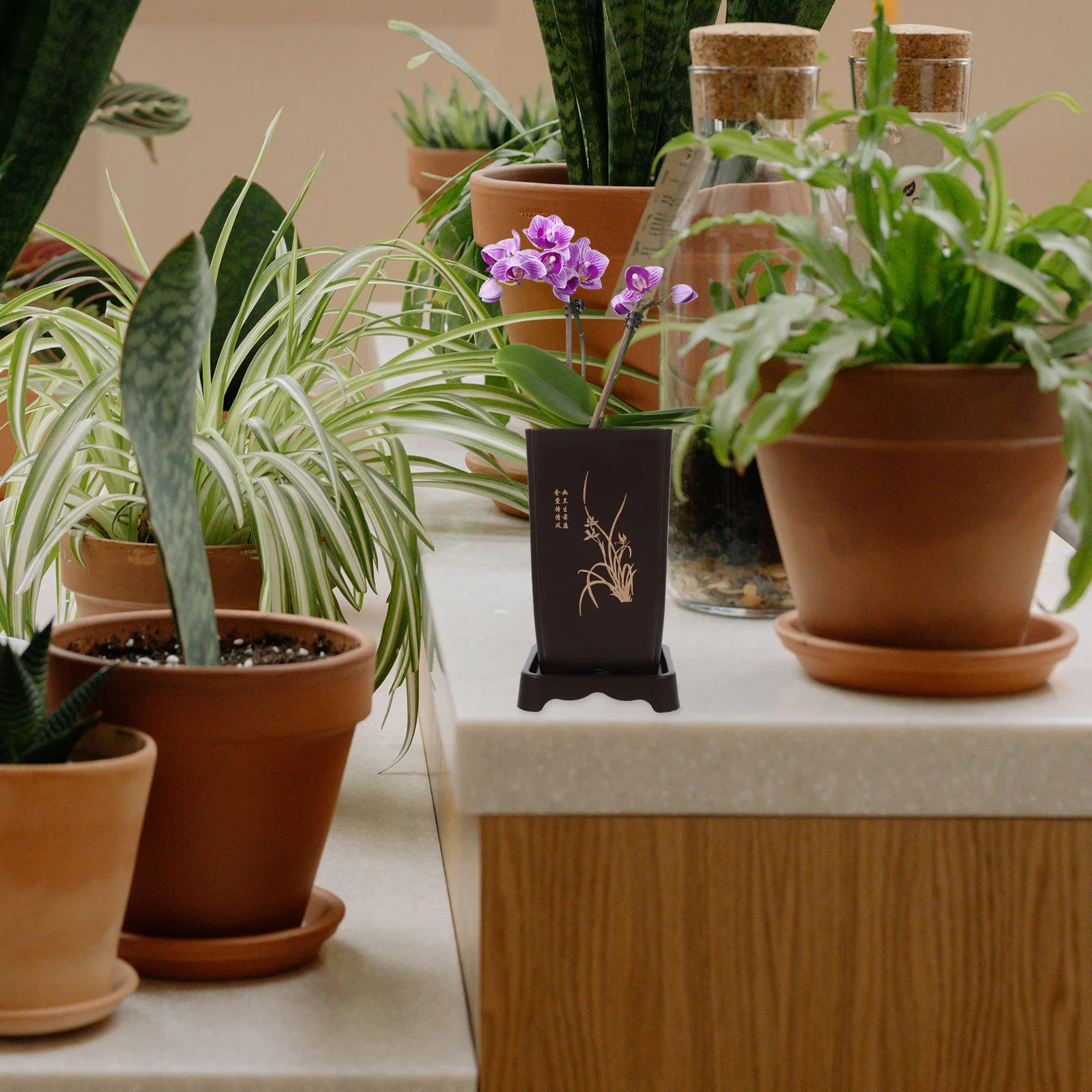 

1 set Orchid Pot Resin Planters Indoor Flower Nursery Pots Orchids Planting Pot for Living Room Bedroom Kitchen