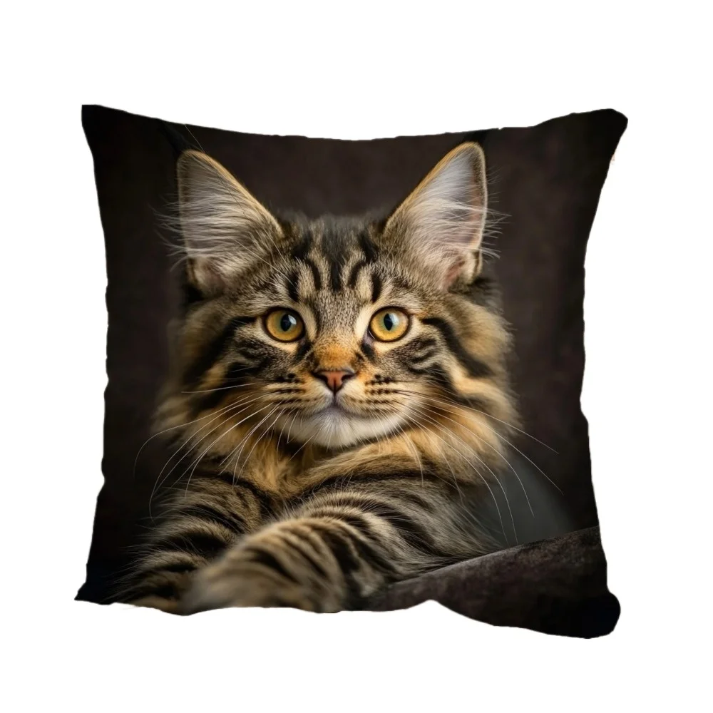 Charming Tabby Maine Coon Cat Design, Machine Washable with Decorative Pillowcase for Sofa, Living Room, Bedroom, Office 45x45CM