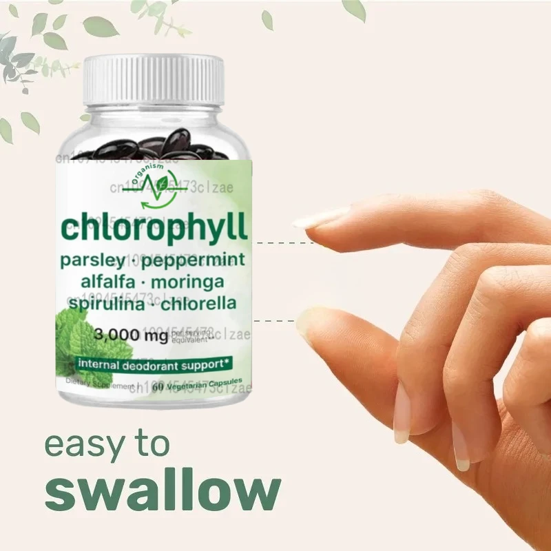 

Chlorophyll 3000mg Supplement with Alfalfa Moringa Spirulina & Chlorella Internal Deodorizer 60 Capsules per Bottle