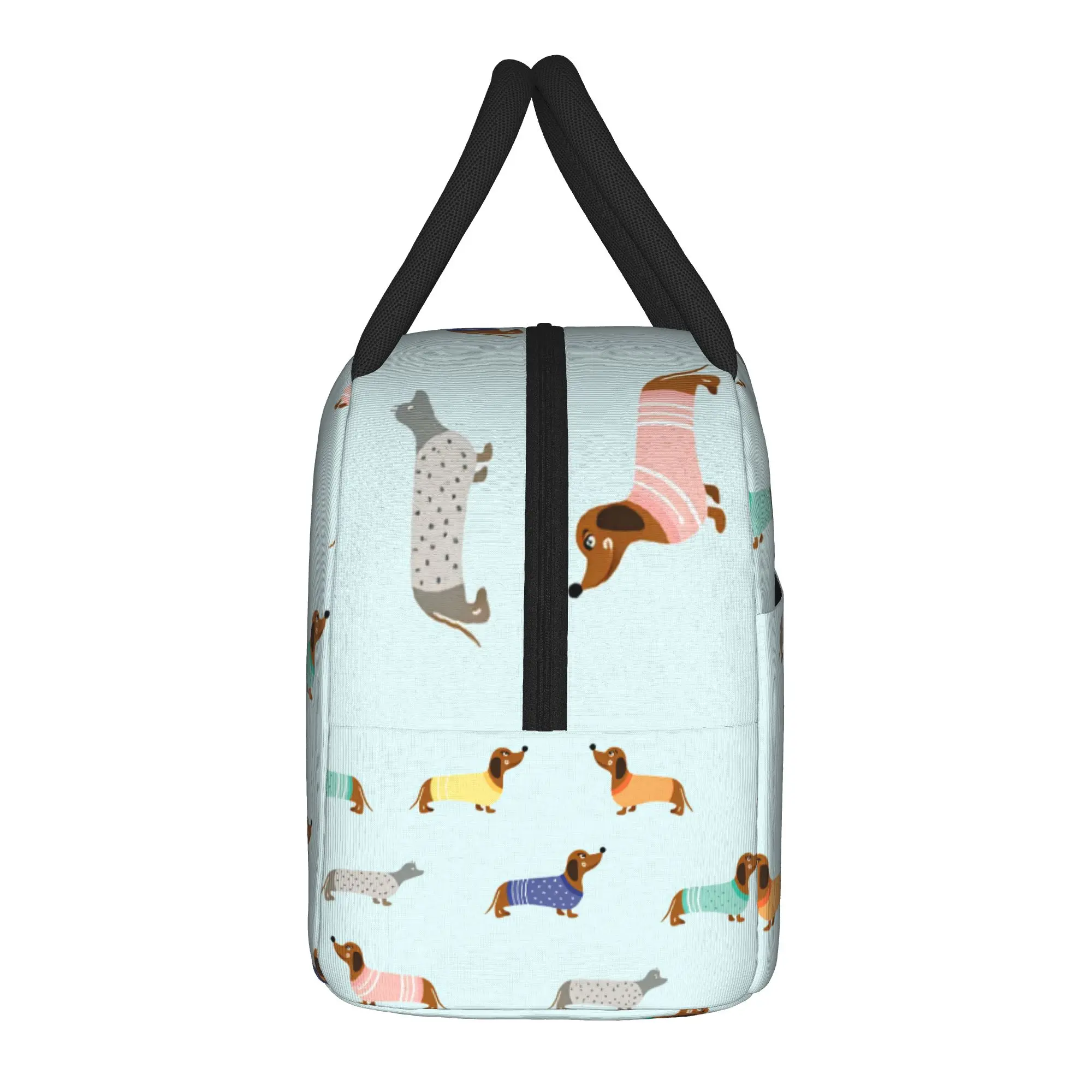 Cute Dachshund in Sweaters Pattern Lunch Bag Lunch Box School Portable Insulated Tote Food Bags For Women Oxford Cooler Bag