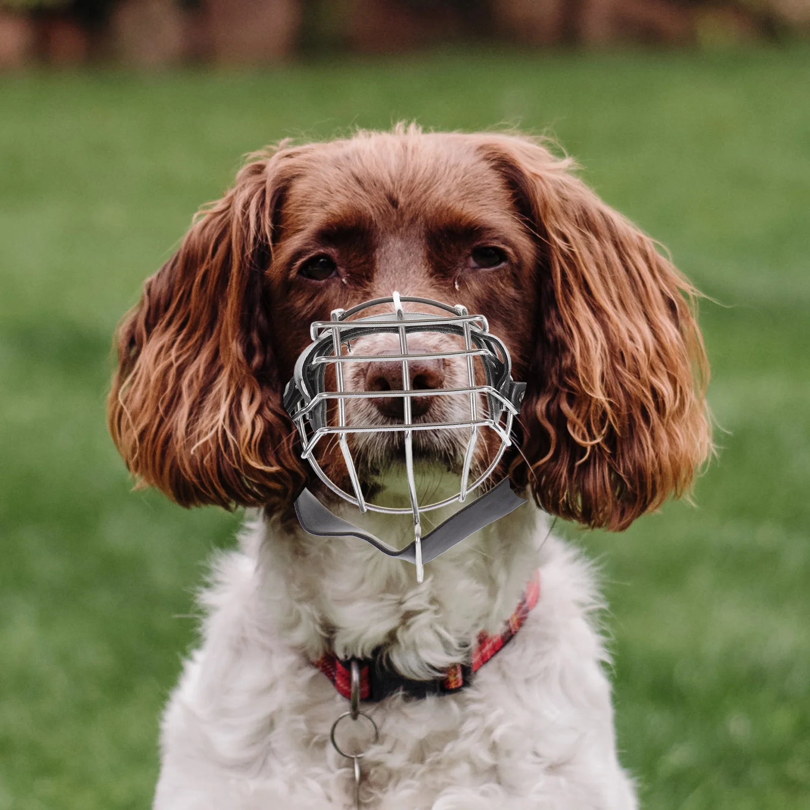 

Stainless Steel Dog Muzzle Adjustable Comfortable Breathable Dog Mouth Cover Anti-Barking Mask Large Outdoor Pet Muzzle