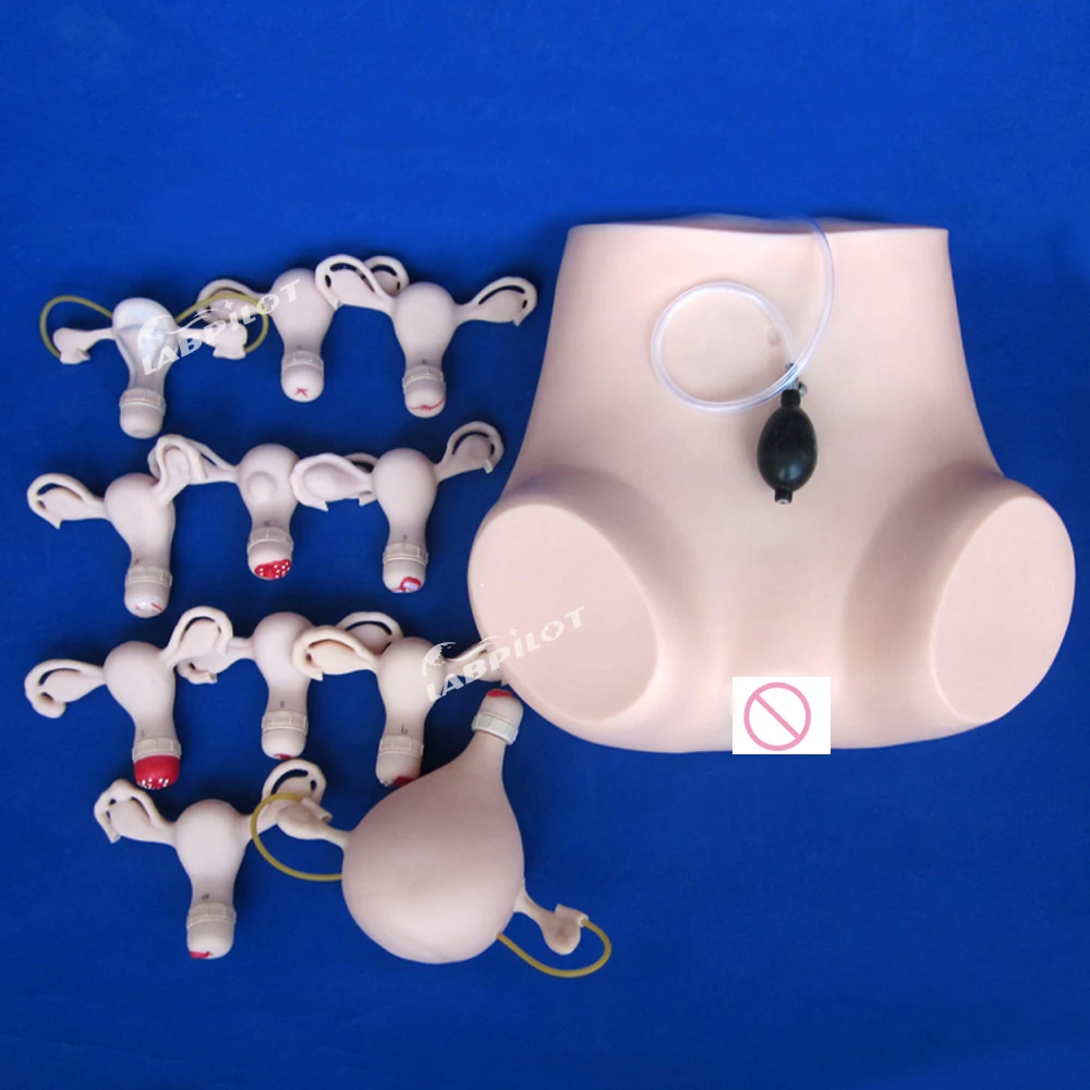 

Gynecological Examination Simulator Nursing Training Manikin Pelvic Uterus Anatomy Model