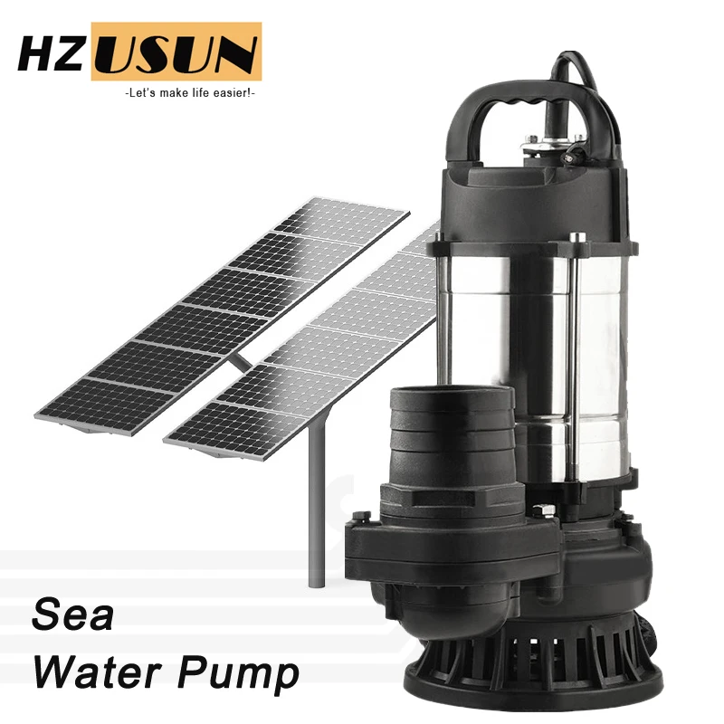 Small 1 HP Marine Fresh Boat Water Transfer Centrifugal Pump Cost DC Brushless Motor Sea Water Jet Submersible Circulation Pump