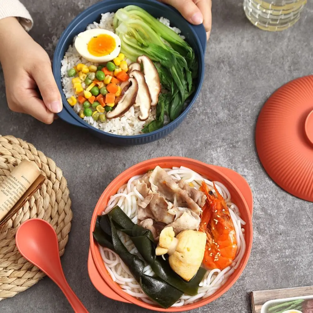 

4 Set Household Large Capacity Ramen Noodles Bowl Vertical Striped Plastic Soup Bowl with Lid and Spoon Salad Bowl Picnic