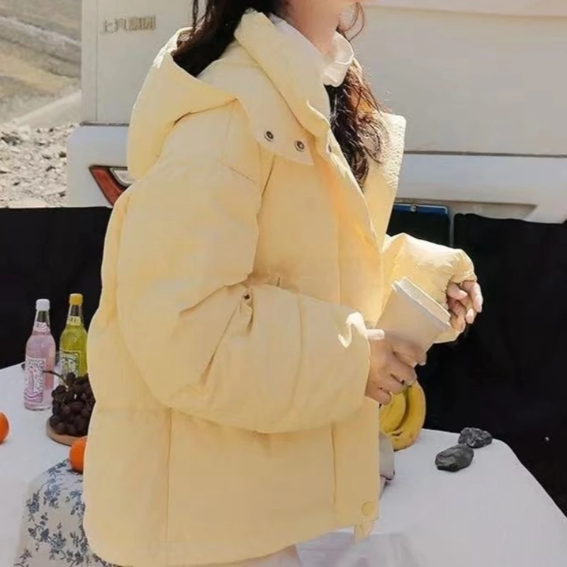 ملابس نسائية جديدة مبطنة بالقطن ملابس قصيرة مبطنة بالقطن سترات فضفاضة مبطنة بالقطن للشتاء سترات بغطاء للرأس #1