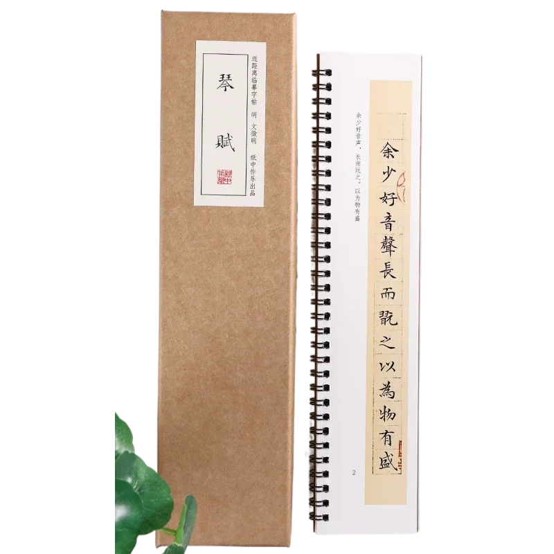 Wen Zhengming Special Calligraphy Copybook Fly Head Small Regular Script Brush Stele Character Calligraphy Copying Writing Books
