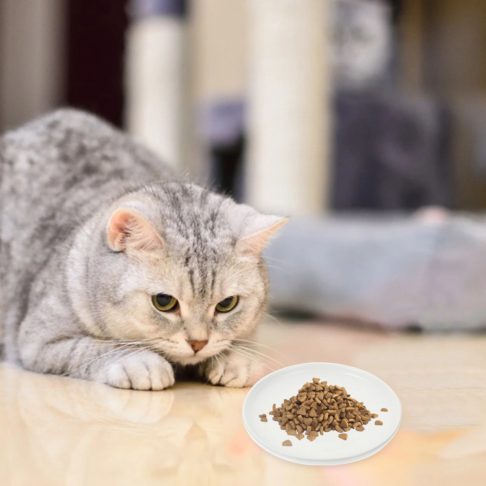 

Ceramic Cat Bowl Rounded Edges Gentle on Whiskers Retains Stability during Meals Supports Healthy Eating Habits for Kittens and