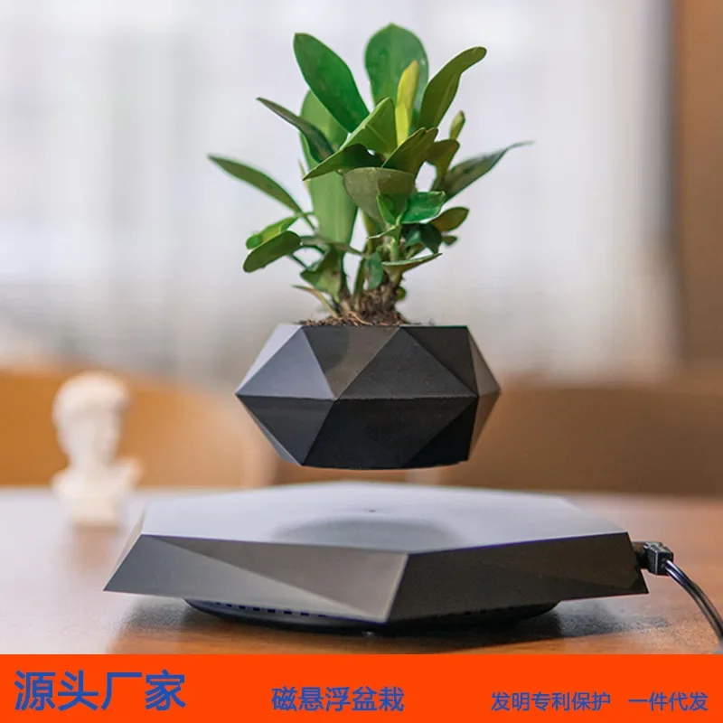 Nordic Novel Maglev Desktop Flower Pot Simplified Flower Pot Money Tree Wealth Tree Home Maglev Pot Decoration