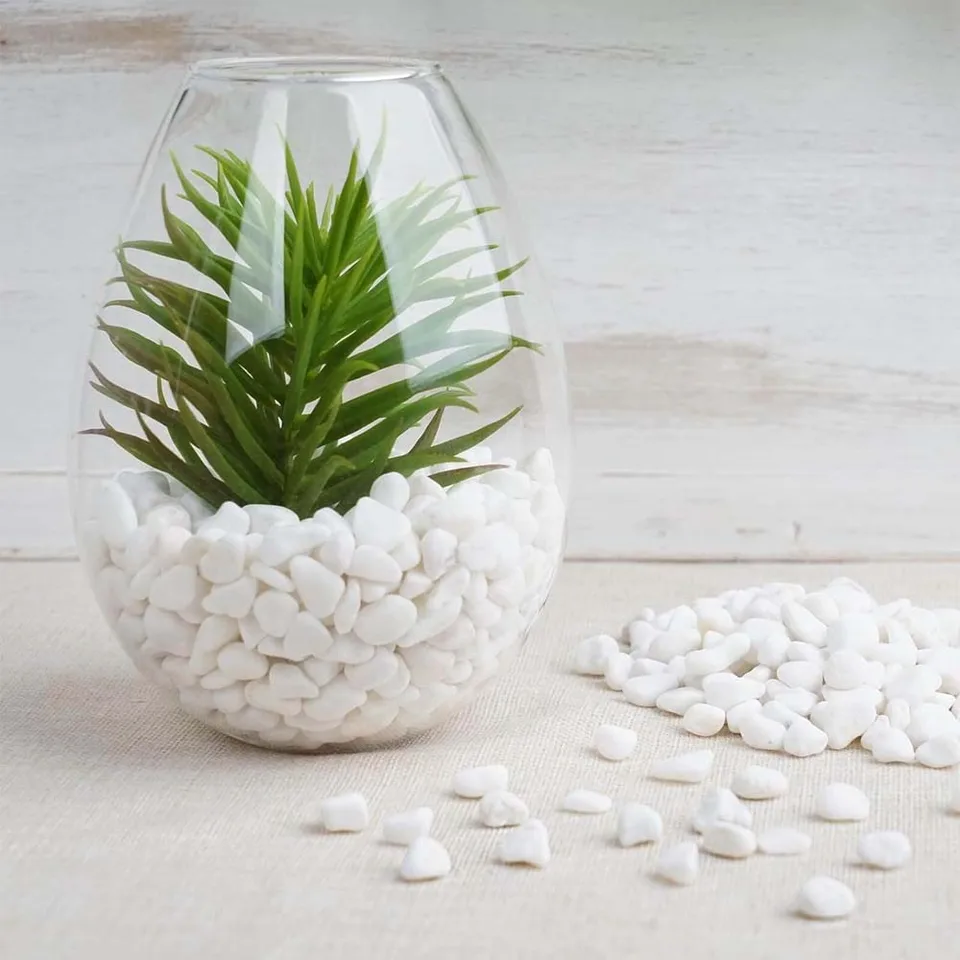 LDXDRU Galets blancs de 4 kg pour pots de fleurs, pierres naturelles de 30 à 50 mm, pierres de rivière lisses polies décoratives pour plantes, aménagement paysager, aquarium, fontaine, vase LDXDRU Galets blancs de 4 kg pour pots de fleurs, pierres naturelles de 30 à 50 mm, pierres de rivière lisses polies décoratives pour plantes, aménagement paysager, aquarium, fontaine, vase
