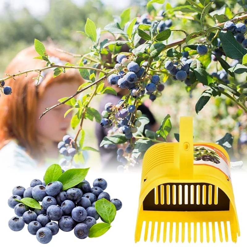 Portable Berry Picker Comb Rakes Picking Fruit Collecting Scoop Orchard Fruit Collector Farm Fruit Picking Harvester Garden Tool