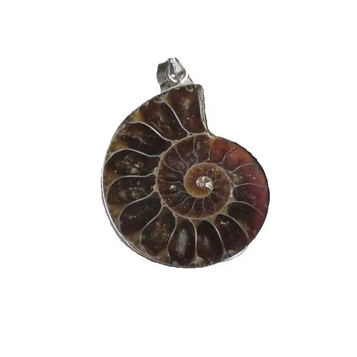 Natural AMMONITE   PENDANT