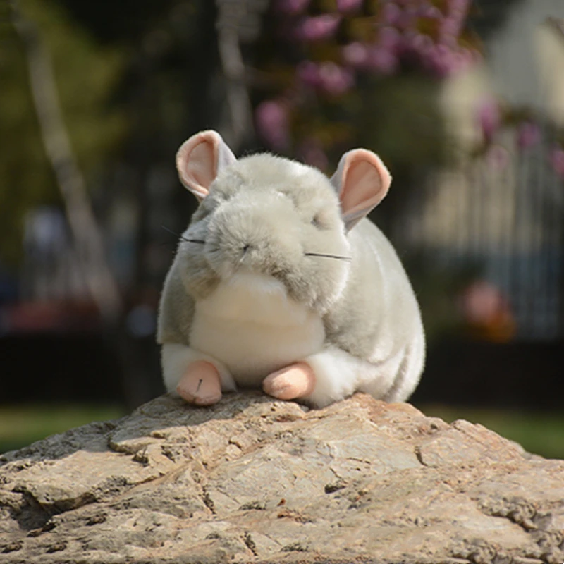 Realistische Hamster High Fidelity niedlichen Plüsch tier Chinchilla Plüschtiere lebensechte Tiere Simulation ausgestopfte Puppe Kawai Spielzeug Geschenke Kinder