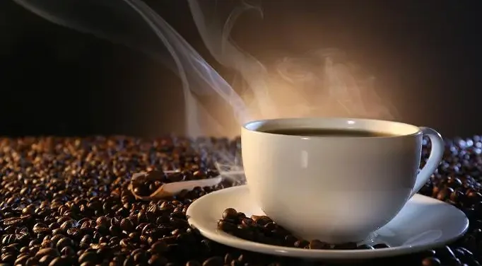 6KG 12KG 20KG Commercial Gas Coffee Roasting Equipment Small true cocoa bean roasting machine coffee roaster with cooling system