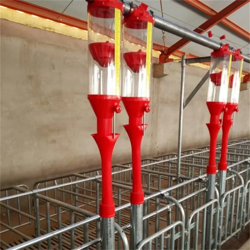 Modern designed high efficiency pig farming disc& chain automatic feeding system