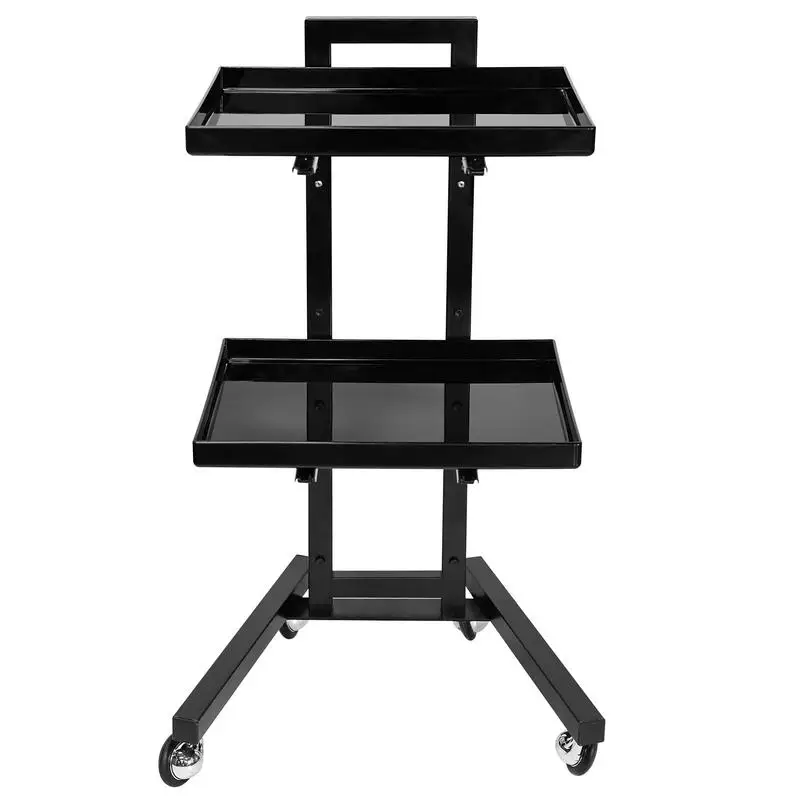 Salon Tray Cart 2 Tiers Rolling Utility Tray Trolly Salon Storage Tools For Home Hair Salons Pet Stores Massage Shops Barber