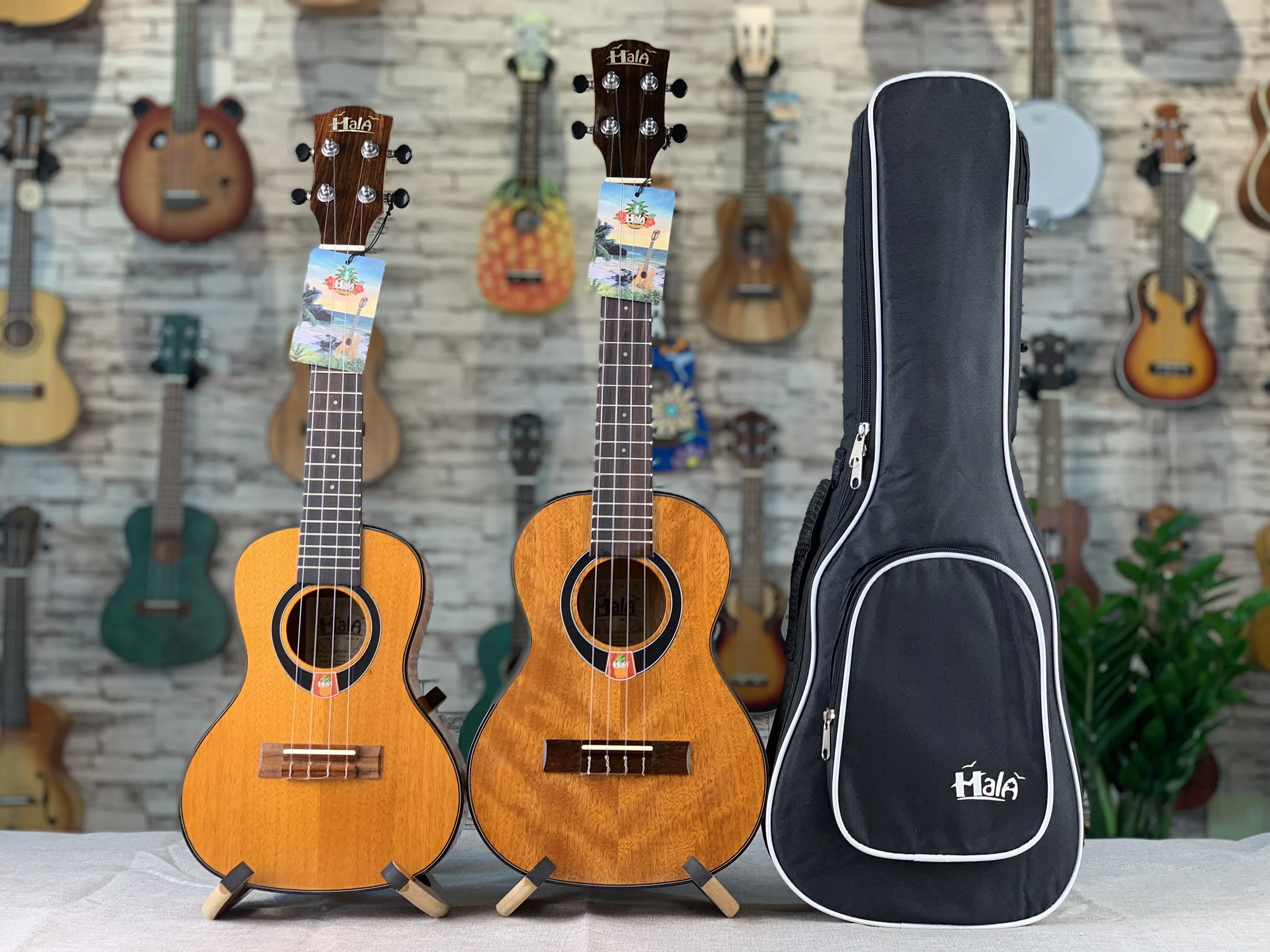 

23"/26" Ukulele With Solid mahogany TOP /Laminated mahogany Body, 23inch ukulele Concert,26inch ukulele tenor