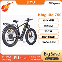 DYU King lite 750 26 inch Fat Tire Electric Bike 750W 48V 20Ah LG Battery Max Range 125KM 25km/h