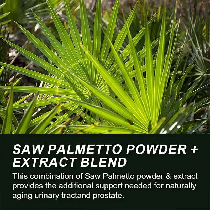 Saw Palmetto - Promote Prostate Health Support Bladder & Less Urination & Prevents Hair Loss