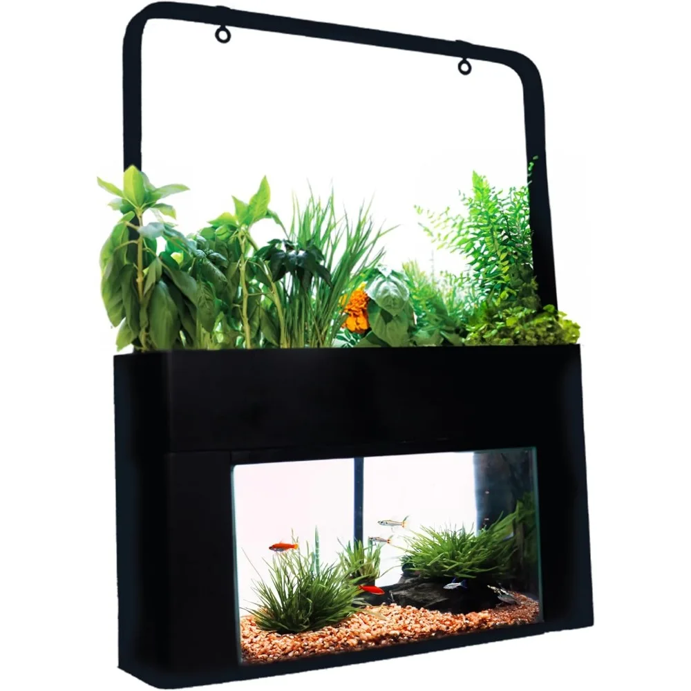 Zelfvoorzienende Desktop Aquarium Hydrocultuur Ecosysteem Kit Past Op Standaard 10 Gallon Aquaria