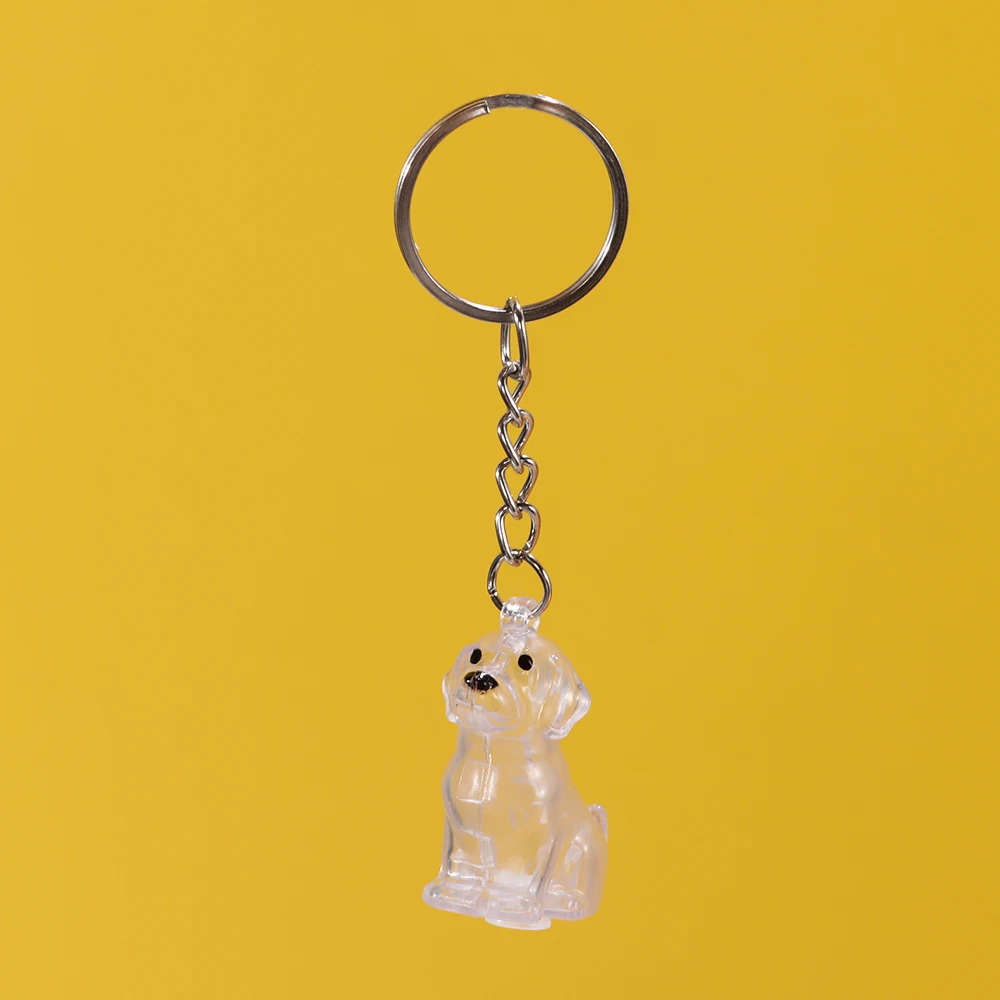 Transparent Dog Fur Storage Pendant Cute Fur Storage Capsule Portable Souvenirs Keychain DIY Accessories Pet Hair Container
