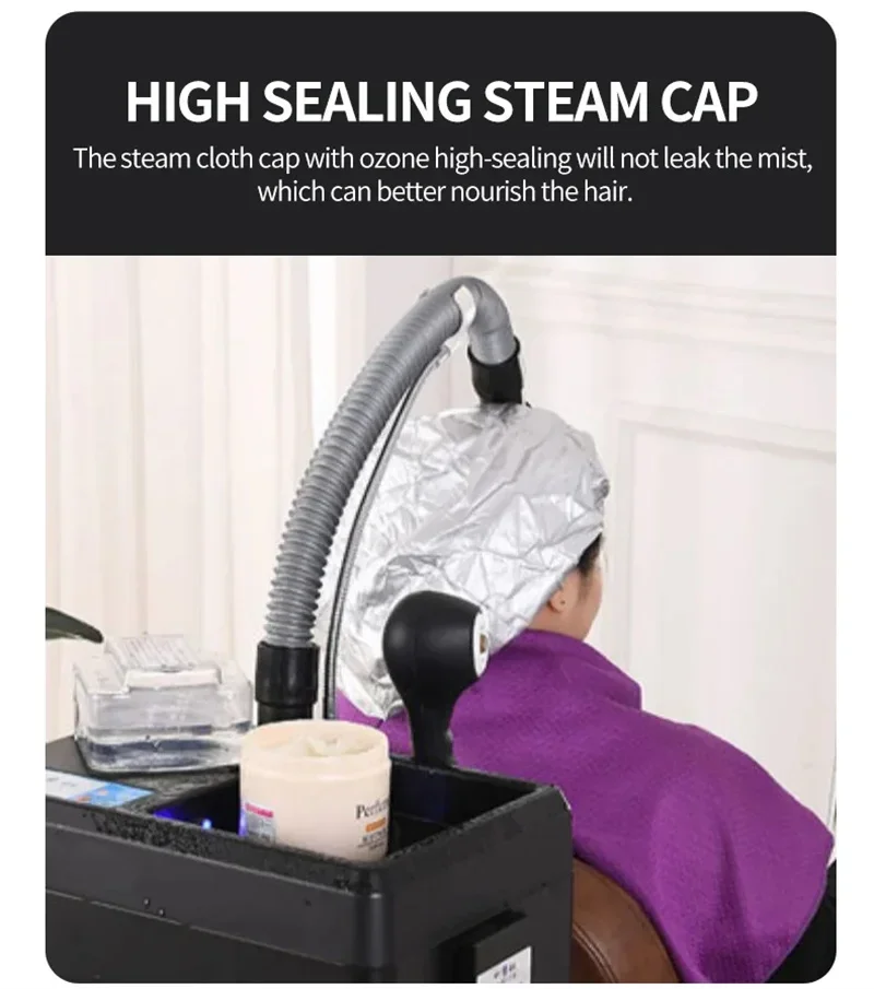 2024z Professional Salon Desktop Portable-Mounted Hair Care And Smoothing Micro Mist Hair Steamer for Oil & Dye & Natural Hair