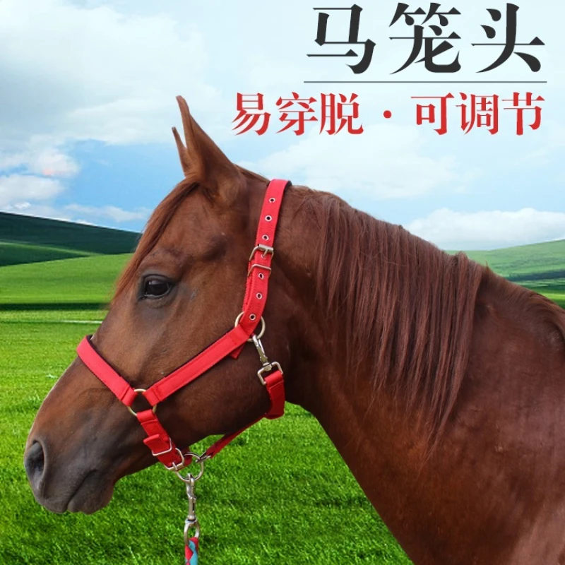 

ABS Skin-friendly Stainless Steel Non-slip Tensile Horse Halter 1
