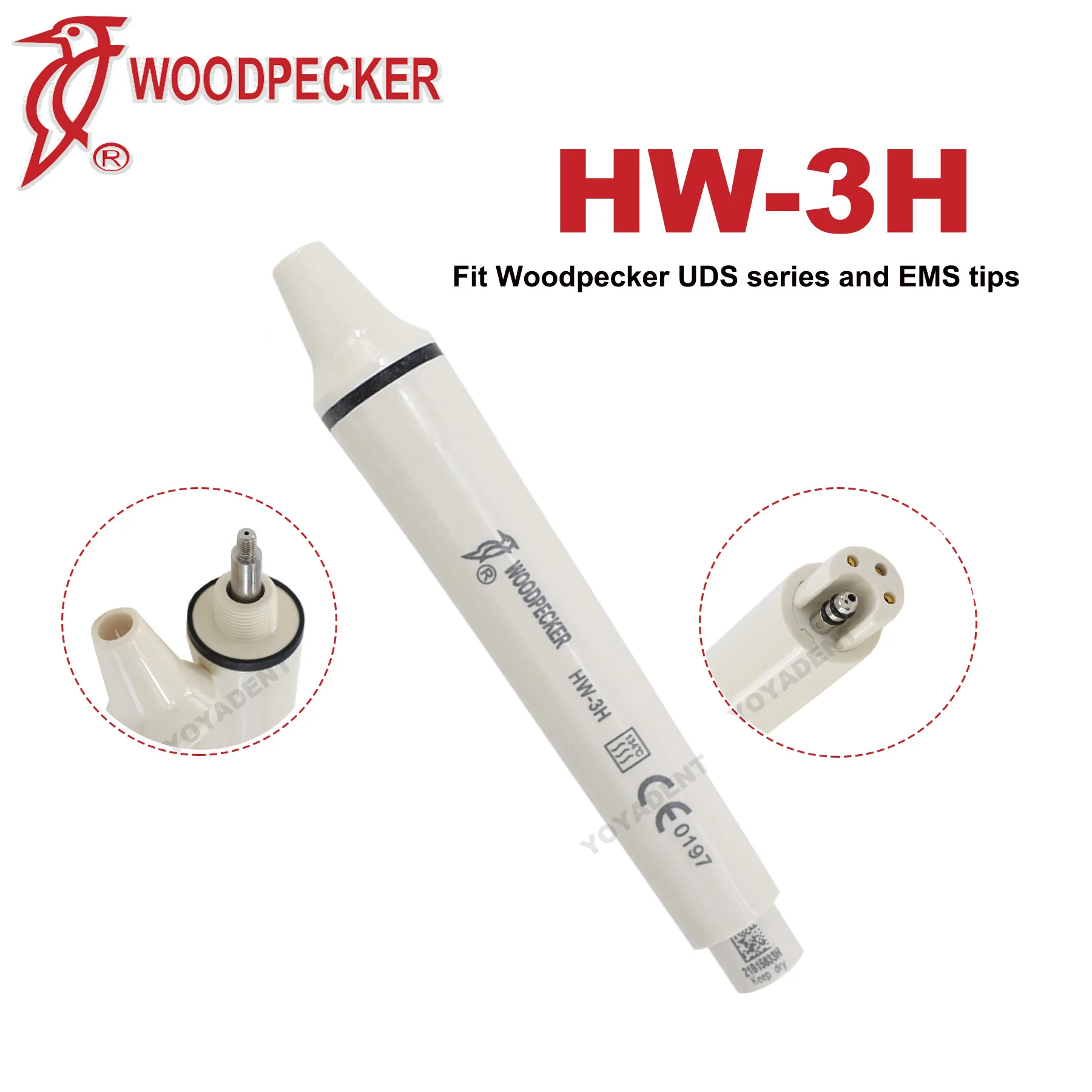 Originele Specht DTE Tandheelkundige Ultrasone Scaler Handstuk LED Licht HW-6L HW-5L HD-7L HD-7H HW-3H Fit EMS NSK SATELEC ACTEON