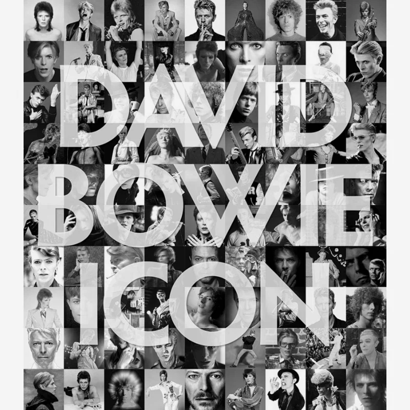 David Bowie Icon Iconic Images Acc Art Books 9781788840965 Book