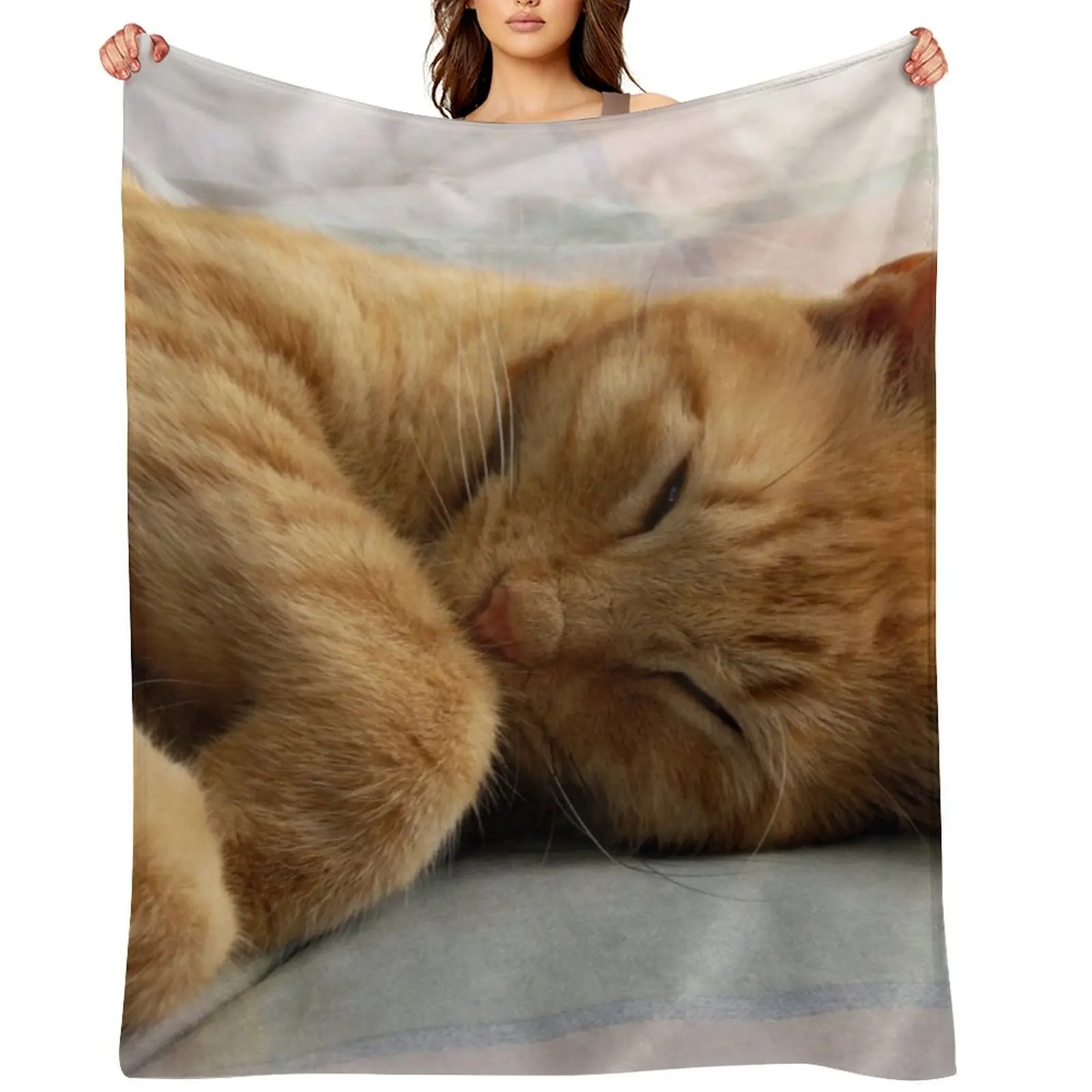 

Ginger Cat Sleeping Throw Blanket Multi-Purpose decorative Blankets For Baby Comforter Blankets